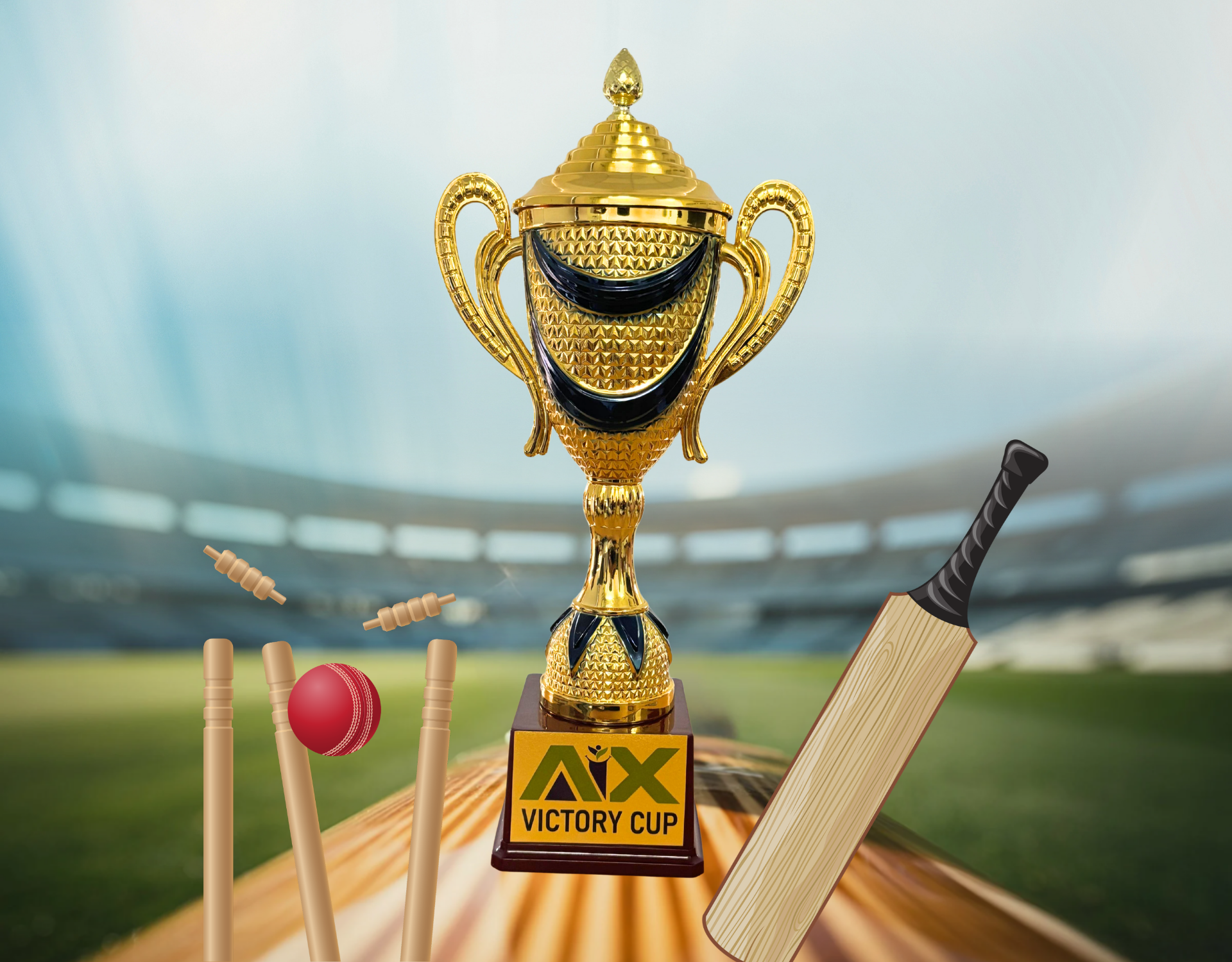 AiX Turf Cricket & Team Dinner