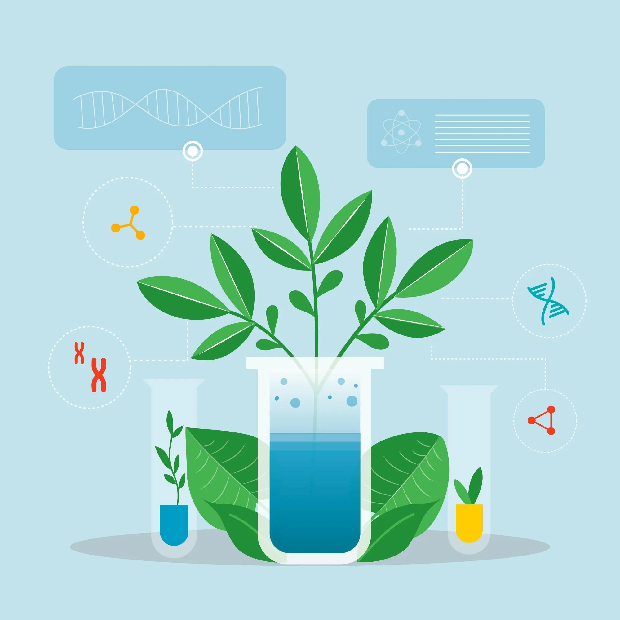 API and Formulation Plant Design